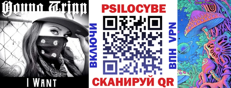 купить  сайты  Мглин  Галлюциногенные грибы прущие грибы 