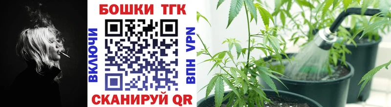 Конопля план  закладки  Мглин 